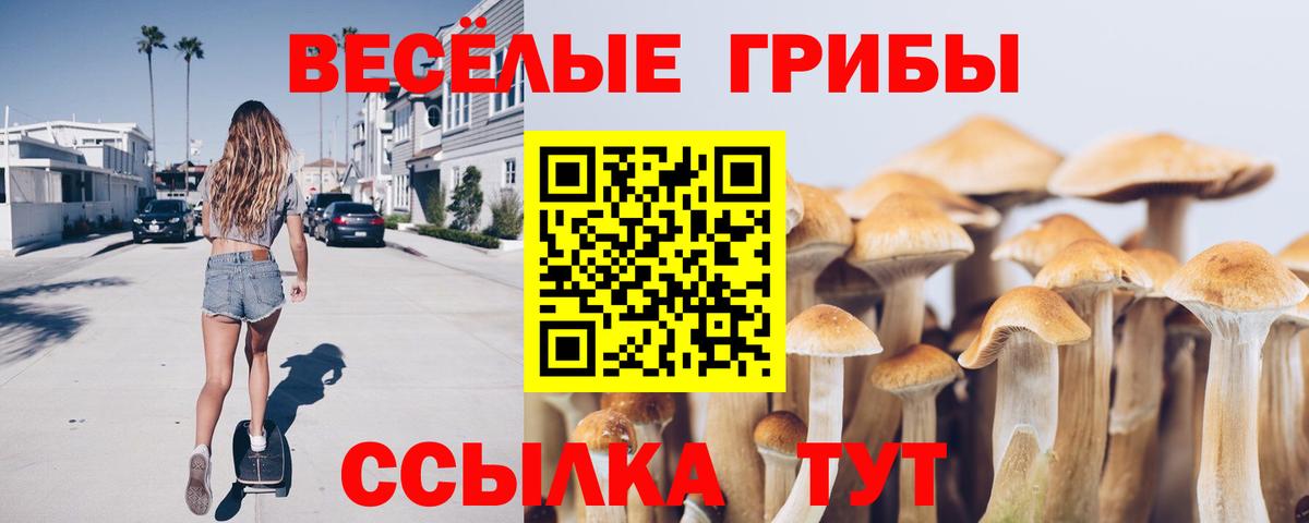 Дедовск  Галлюциногенные грибы мухоморы  Вход с VPN  Галлюциногенные грибы MAGIC MUSHROOMS 